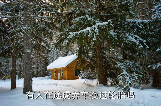 什么是途虎輪胎險(xiǎn)，有人在途虎養(yǎng)車換過輪胎嗎