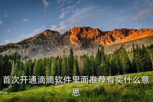 滴滴獎(jiǎng)牌權(quán)益什么意思，滴滴單單獎(jiǎng)利20元封頂什么意思