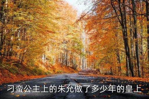 刁蠻公主上的朱允做了多少年的皇上