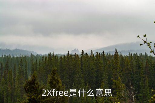 什么是資源錯(cuò)配，2Xfree是什么意思