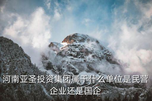 河南亞圣投資集團屬于什么單位是民營企業(yè)還是國企