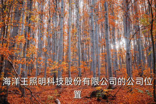 深圳海王集團大廈有什么公司，華祺領(lǐng)域地址