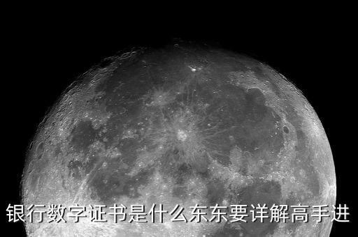 銀行數(shù)字證書是什么東東要詳解高手進(jìn)