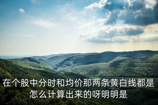 分時線均價線走的不一致為什么，在股票時分走勢圖上有兩條線其中一條為什么不與開盤價和收盤價對
