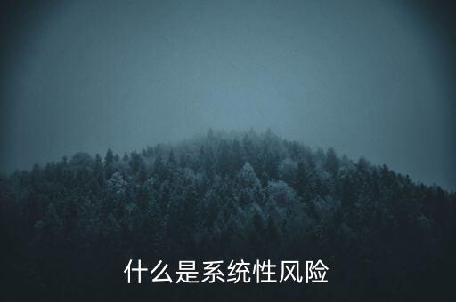 什么是系統(tǒng)性區(qū)域性風險，什么是系統(tǒng)性風險與區(qū)域性風險