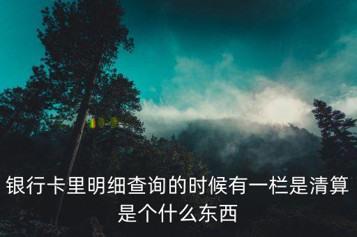 什么是銀行卡清算，銀行卡里明細(xì)查詢的時(shí)候有一欄是清算是個(gè)什么東西