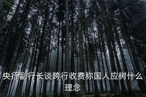 央行副行長(zhǎng)談跨行收費(fèi)稱國(guó)人應(yīng)樹什么理念