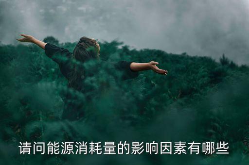 請(qǐng)問能源消耗量的影響因素有哪些