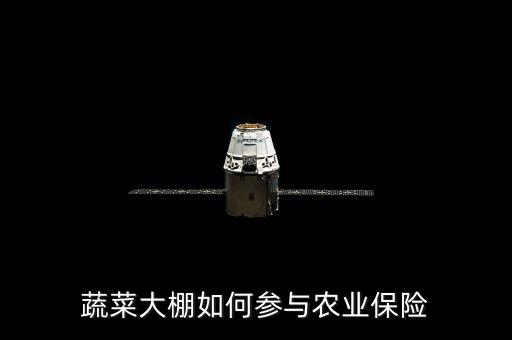 種大棚買保險陪什么，蔬菜大棚入保險請問入哪一類保險