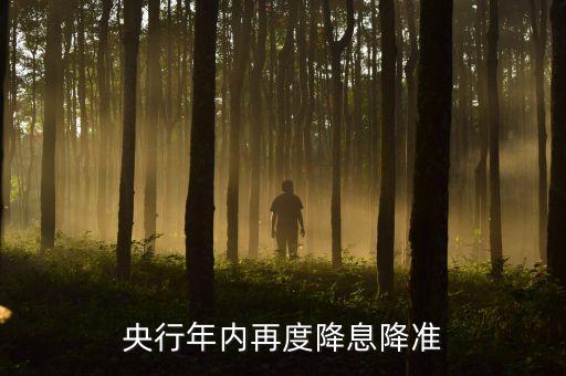 雙降對房地產(chǎn)有什么影響，降準(zhǔn) 降息 雙降 說的什么意思 我看都是銀行的消息