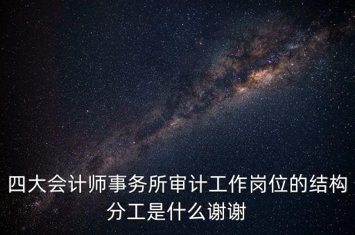 四大會計師事務所審計工作崗位的結構分工是什么謝謝