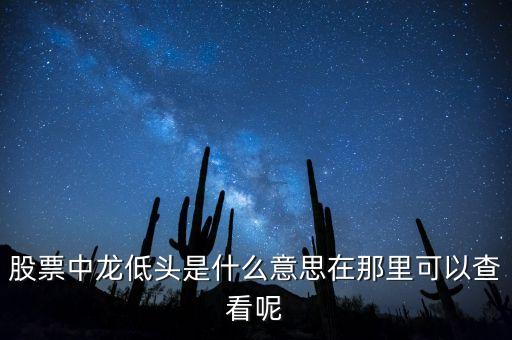 中龍是什么股票，帶龍字的股票有哪些