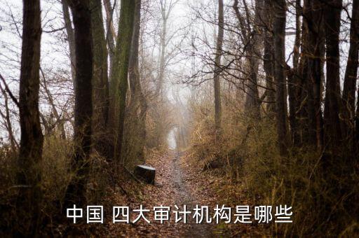 中國 四大審計(jì)機(jī)構(gòu)是哪些