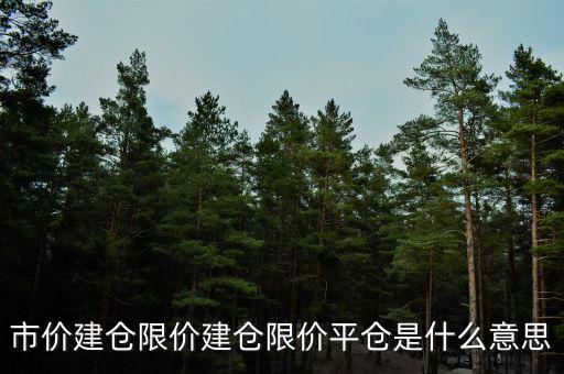 市價平倉是什么，前海油的市價平倉是什么意思