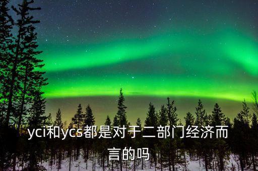 yci和ycs都是對于二部門經(jīng)濟(jì)而言的嗎