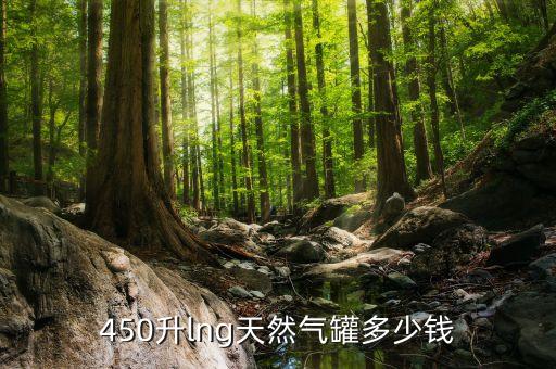 450升lng天然氣罐多少錢