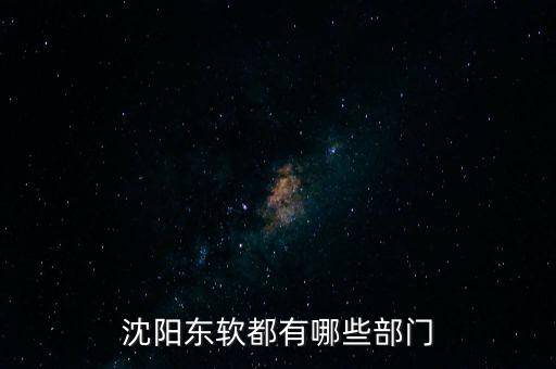 沈陽東軟erp事業(yè)部做什么，東軟軟件產(chǎn)品部