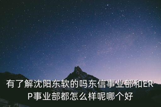 有了解沈陽(yáng)東軟的嗎東信事業(yè)部和ERP事業(yè)部都怎么樣呢哪個(gè)好