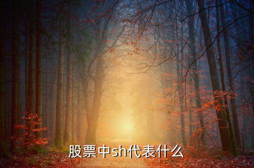 股票中sh代表什么
