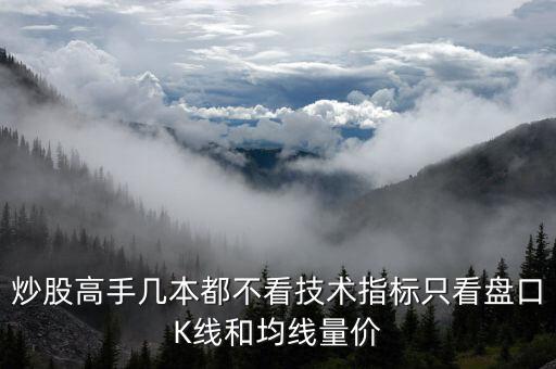 炒股高手幾本都不看技術(shù)指標(biāo)只看盤口K線和均線量價