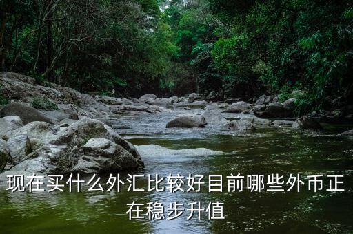 近期買(mǎi)什么外匯，預(yù)測(cè)人民幣匯率走勢(shì)是怎樣的 炒外匯現(xiàn)在買(mǎi)哪對(duì)外匯比較好