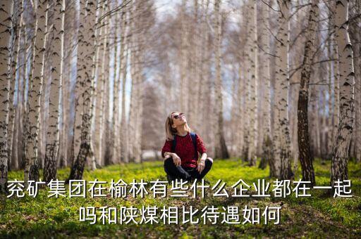 兗州煤業(yè)公司經(jīng)營(yíng)什么，兗礦集團(tuán)在榆林有些什么企業(yè)都在一起嗎和陜煤相比待遇如何