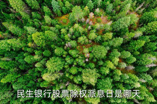 民生銀行股票除權(quán)派息日是哪天