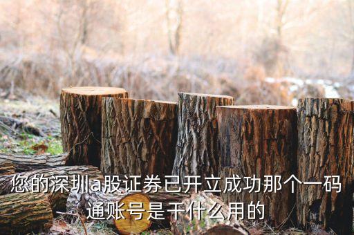 證券一碼通是什么意思，您的深圳a股證券已開立成功那個(gè)一碼通賬號(hào)是干什么用的
