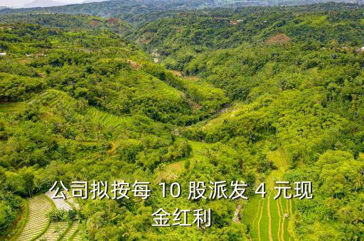 股票10派4是什么意思，2015年1至12月中成股份分配預(yù)案10派4是什么意思