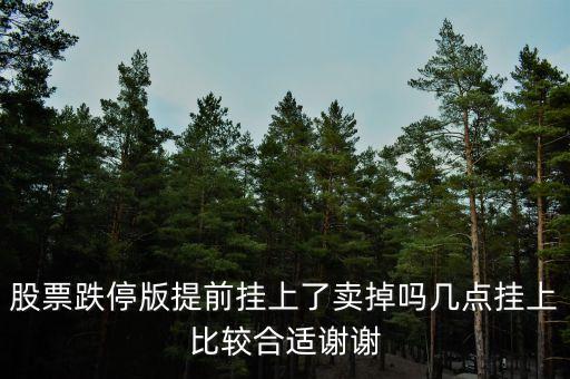 股票跌停版提前掛上了賣掉嗎幾點(diǎn)掛上比較合適謝謝