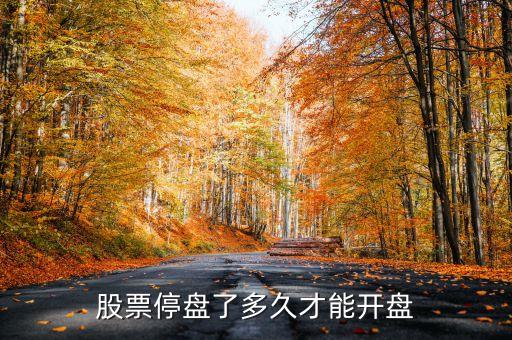 股票封盤什么時候可以開盤，股票異常波動暫停交易后一般到幾點就開盤