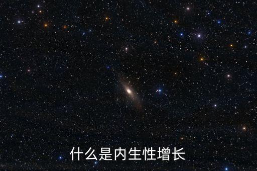 什么是內生性增長