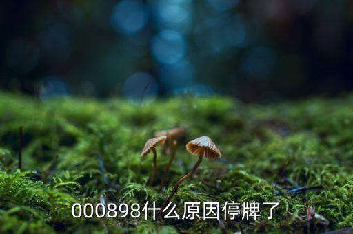 皇氏乳業(yè)為什么停牌，000009今天為何停牌