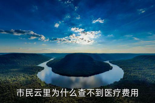 市民云里為什么查不到醫(yī)療費(fèi)用