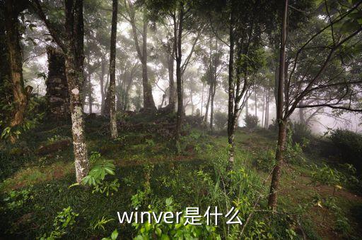 什么是出口導(dǎo)向戰(zhàn)略，相符交單是什么