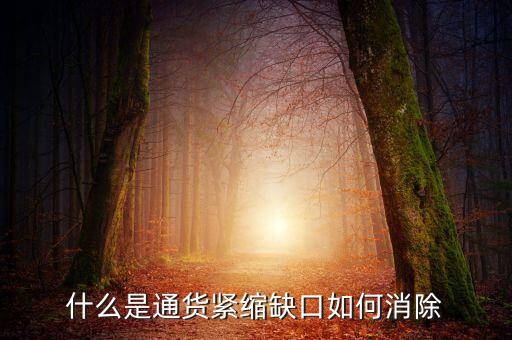 什么是通貨緊縮缺口如何消除