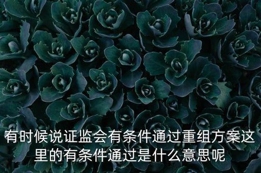 重組項(xiàng)目過(guò)會(huì)是什么意思，資產(chǎn)重組獲股東大會(huì)高票通過(guò)什么意思