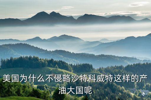 美國為什么不制裁沙特，美國為什么不侵略沙特科威特這樣的產(chǎn)油大國呢