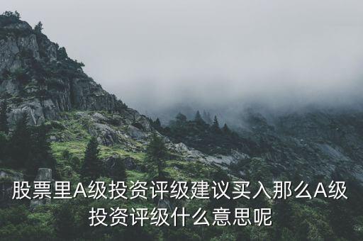 買(mǎi)入一a評(píng)級(jí)什么意思，維持買(mǎi)入一a評(píng)級(jí)是什么意思