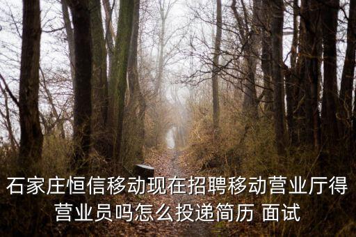 恒信移動是什么公司，河北恒信是做什么的公司