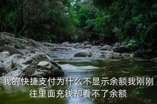 我的快捷支付為什么不顯示余額我剛剛往里面充錢卻看不了余額