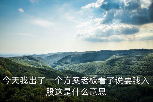 今天我出了一個方案老板看了說要我入股這是什么意思
