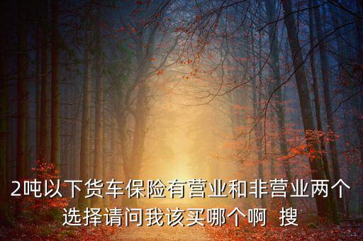 2噸以下貨車保險(xiǎn)有營業(yè)和非營業(yè)兩個(gè)選擇請問我該買哪個(gè)啊  搜