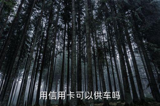 供車用什么信用卡，用信用卡可以供車嗎
