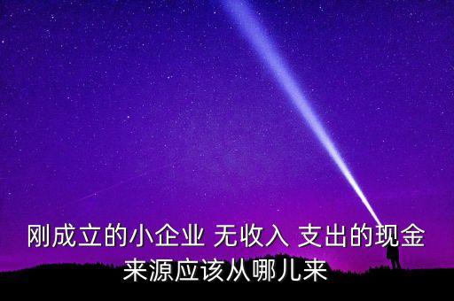 小企業(yè)主為什么沒現(xiàn)金，剛成立的小企業(yè) 無收入 支出的現(xiàn)金來源應(yīng)該從哪兒來