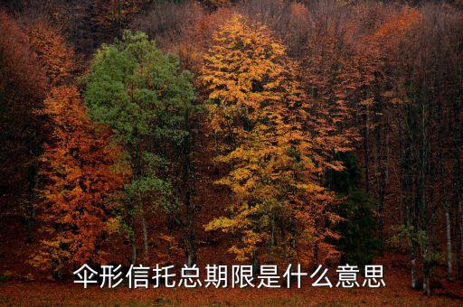傘形信托的杠桿比例是什么意思，傘形信托總期限是什么意思