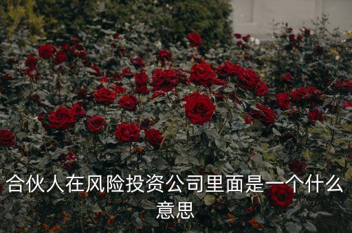 vc合伙人是什么，風險投資公司中的合伙人和經理人都是什么意思