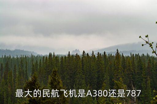 我國民航什么飛機(jī)最大，最大的民航飛機(jī)是A380還是787
