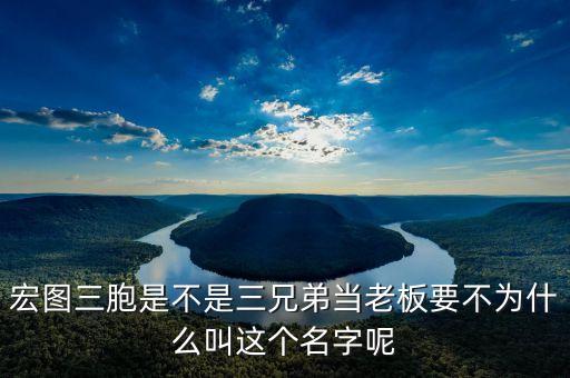 宏圖三胞是不是三兄弟當(dāng)老板要不為什么叫這個名字呢
