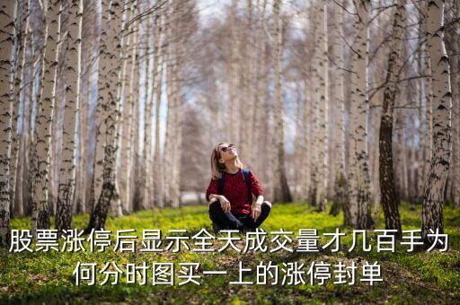 封單少10萬手什么意思，逾29萬手封單封住跌停是什么意思